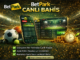 Betpark canlı bahis oranlarının çalışma sistemi ve avantajları